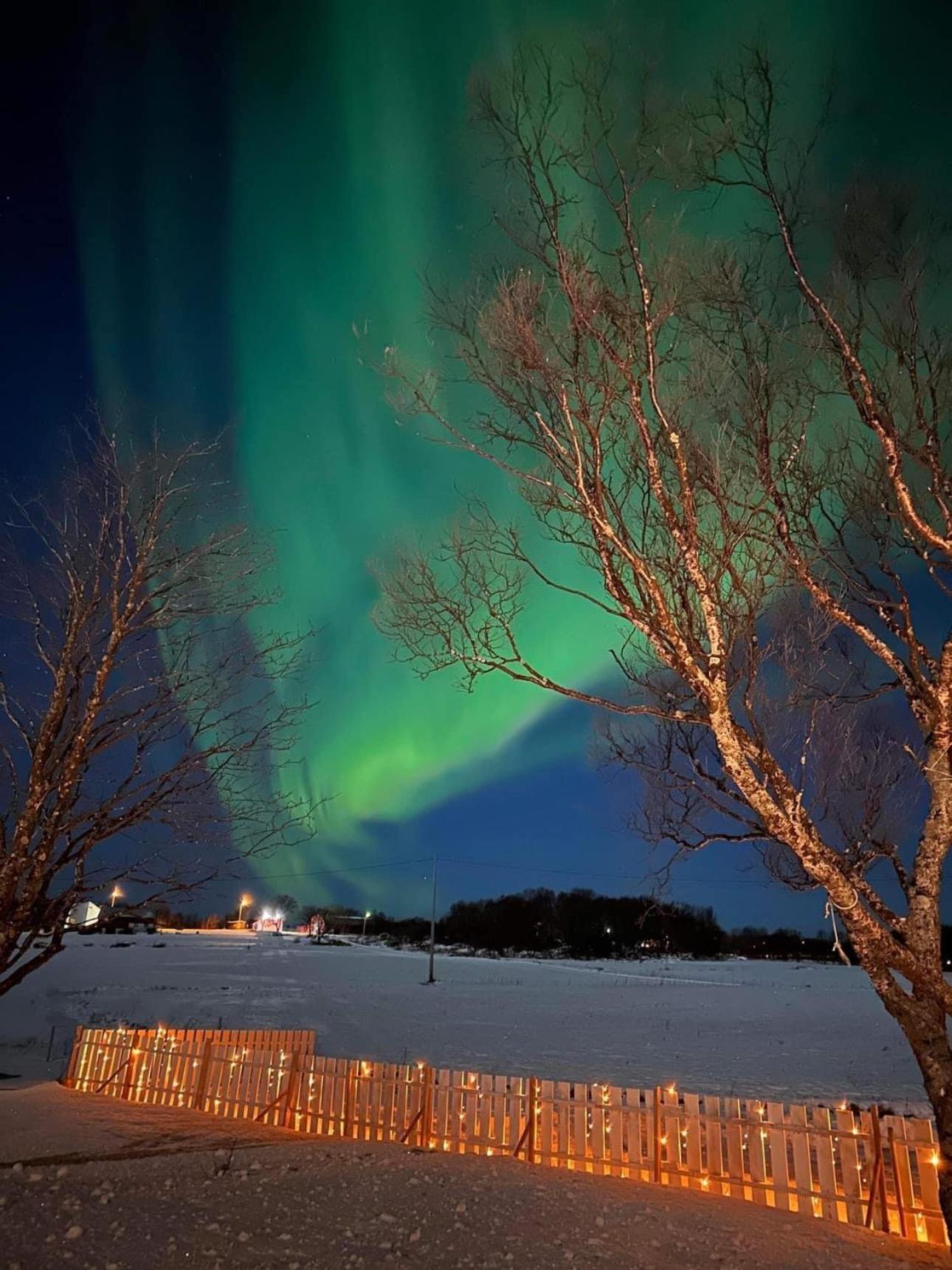 Midnattsolveien 3158,Sommarhusstrand Laukvik Lofoten Norway Zewnętrze zdjęcie