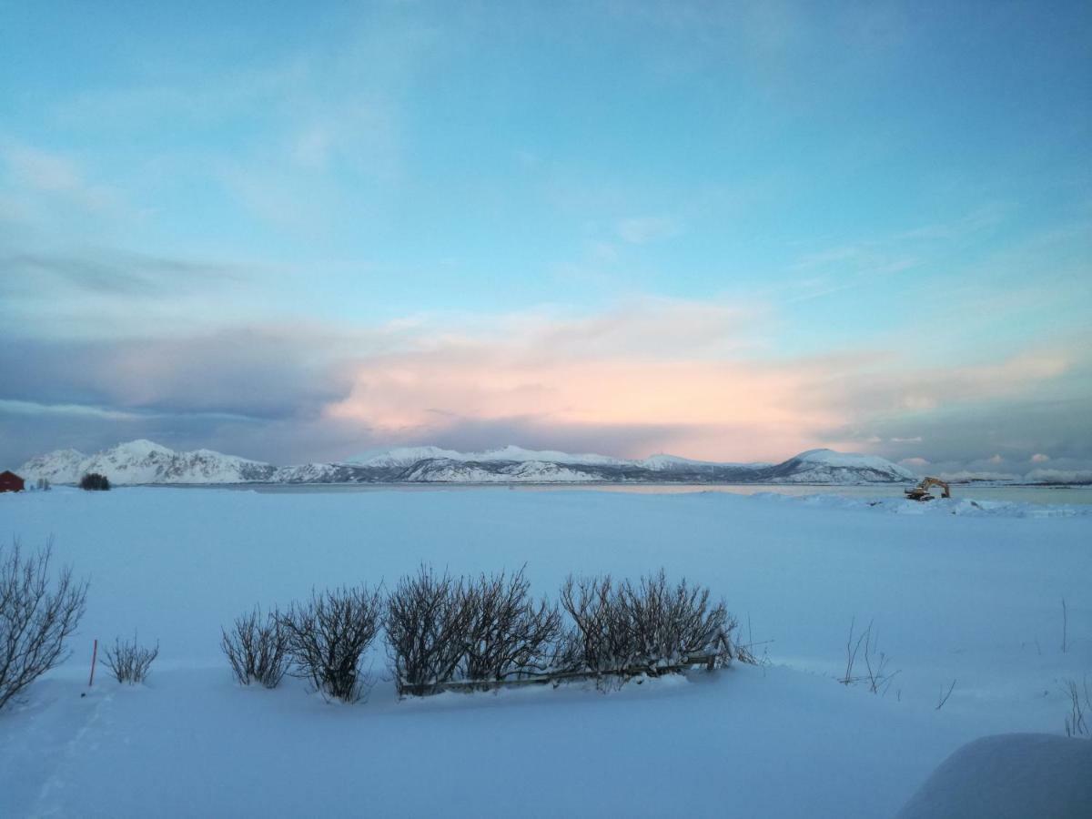 Midnattsolveien 3158,Sommarhusstrand Laukvik Lofoten Norway Zewnętrze zdjęcie