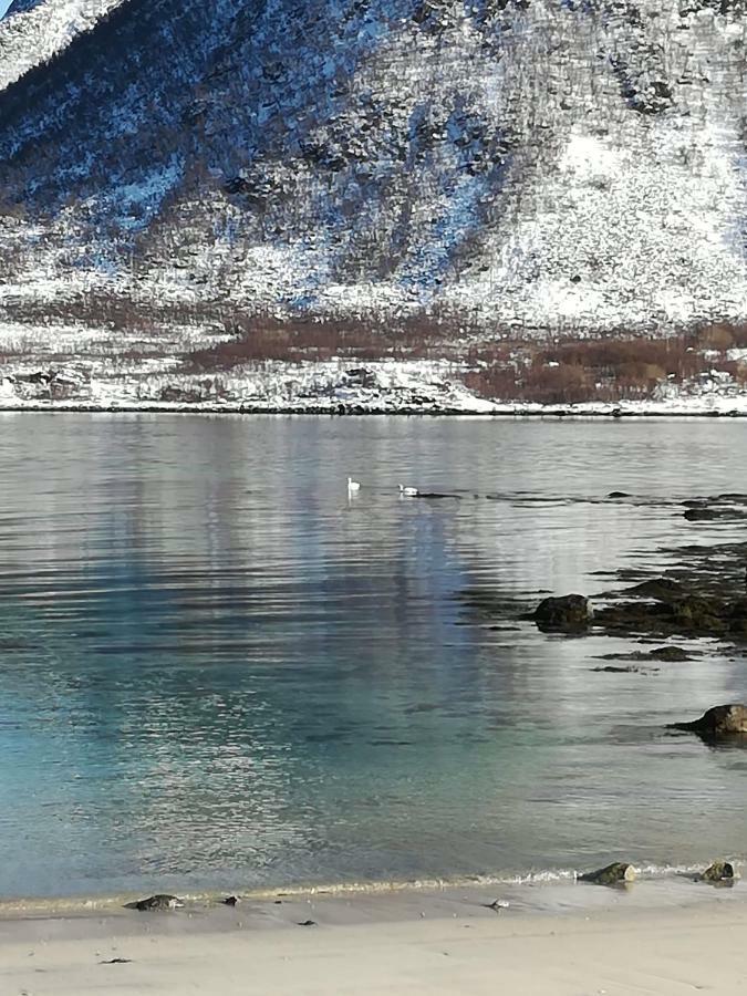 Midnattsolveien 3158,Sommarhusstrand Laukvik Lofoten Norway Zewnętrze zdjęcie