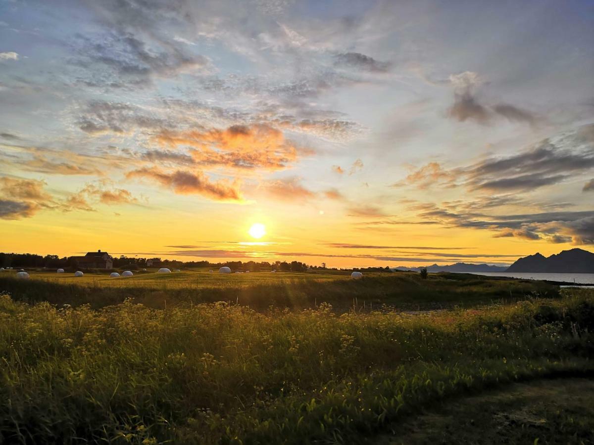 Midnattsolveien 3158,Sommarhusstrand Laukvik Lofoten Norway Zewnętrze zdjęcie